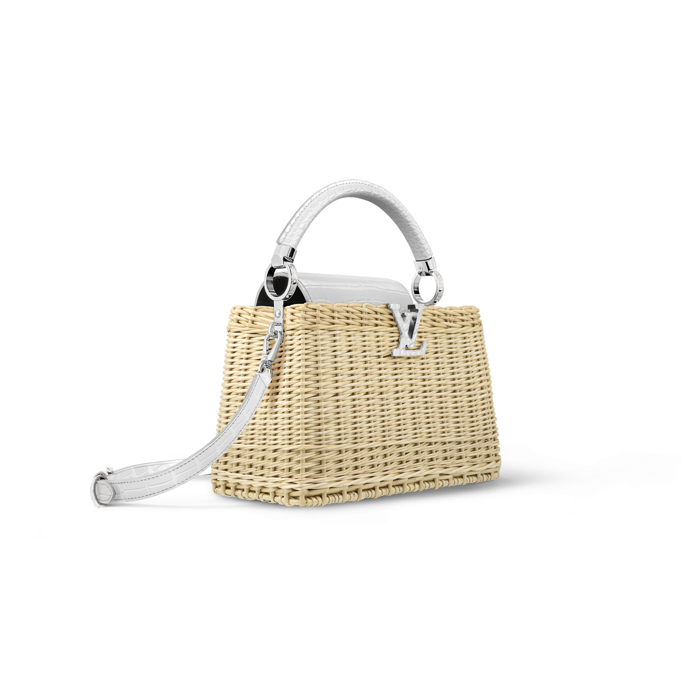 LOUIS VUITTON MASTER CAPUCINES BB N85520 (27*17*14cm)